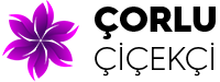 Çorlu Çiçekçi logo
