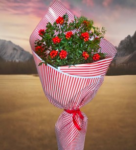 çorlu çiçekçi,çorlu kokina buketi,çorlu rengi cümbüş